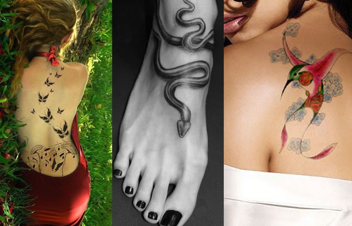 Beautiful Animal Tattoo Ideas for Girls
