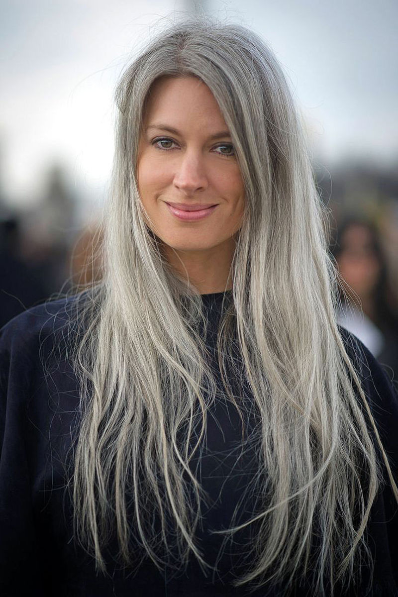 Gray Hair Color Trends 2024 - Casie Carlynn