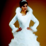 Elegant Winter Wedding Dresses for Brides