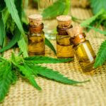 The Beginner’s Guide to CBD Products